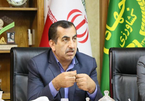 صادرات هزار تن نارنگی از مازندران