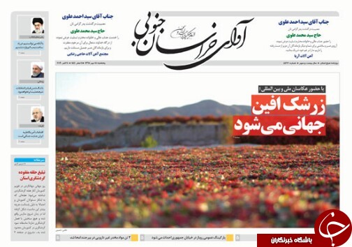 زرشک افین جهانی می شود/۵۱۰۰ شغل پایدار برای روستاییان