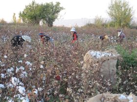 امهال وام بیش از ۲ هزار کشاورز توسط بانک کشاورزی خراسان شمالی