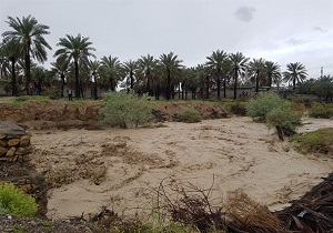 خسارت بیش از ۲۰ میلیارد تومانی بارندگی به کشاورزی میناب