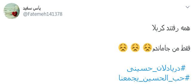 باز هم برگ براتم به کناری افتاد/ وعده گاه همه شد کرب وبلا،إلّا من