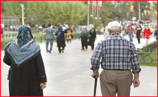 رویش کدوی اسرار آمیز در تفرش/آخرین وضعیت از مرزهای کشور برای عبور زائرین اربعین/برای دیدن مشهد قدیم به کدام خیابان برویم؟