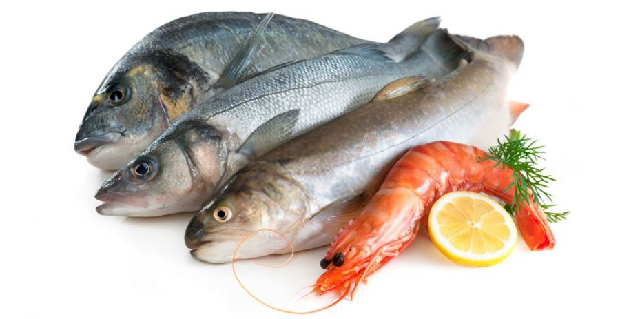 انواع ماهی  میگو بسته بندی + قیمت