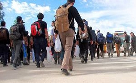 تلفیقی از علم و تجربه /هزینه ثبت نام بیمه حوادث زائران اربعین چه قدر است؟ /ذائقه بازار به سمت کدام فرآورده&zwnj;های دامی است؟