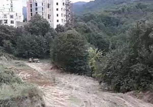 نابودی منابع طبیعی در گرگان + فیلم