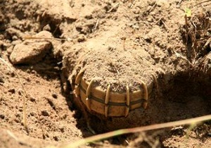 انفجار مین در بستان ۳ کشته و مصدوم داشت
