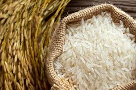 مظنه خرید برنج در بازار چند؟ + قیمت