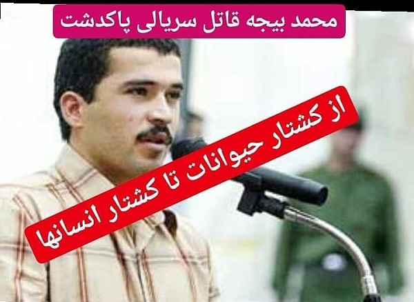 حیوان آزاری مقدمه قتل