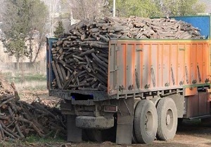 کشف و ضبط ۴۱ تن چوب و زغال قاچاق در چهارمحال و بختیاری