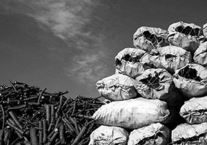 توقیف خودروی حامل ذغال جنگلی غیر مجاز در سپیدان