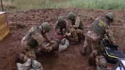 طراحی جالب هندوانه به شکل مرغابی + فیلم