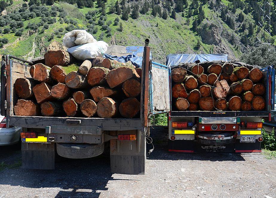 کشف چوب قاچاق به ارزش ۲۰۰ میلیون