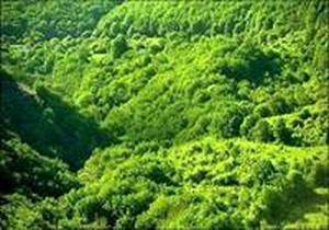 بازگشت بیش ۶۹ هزار مترمربع از اراضی ملی به بیت المال