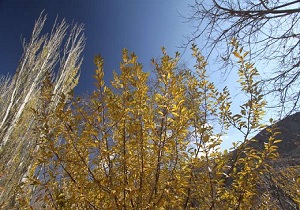 پاییزی گرم در خراسان جنوبی