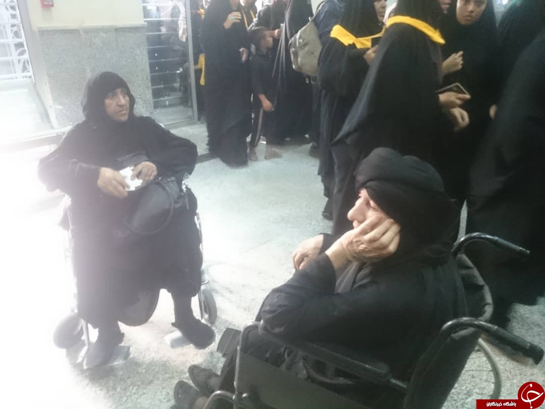 با زائران در مرز شلمچه و چذابه/ ارائه خدمات درمانی و اسکان در مواکب