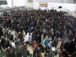 تردد ۲۷۰ هزار زائر در مرز مهران