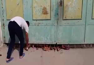 عجیب‌ترین شیوه خرید کردن دانش‌آموزان یک مدرسه در اهواز + فیلم