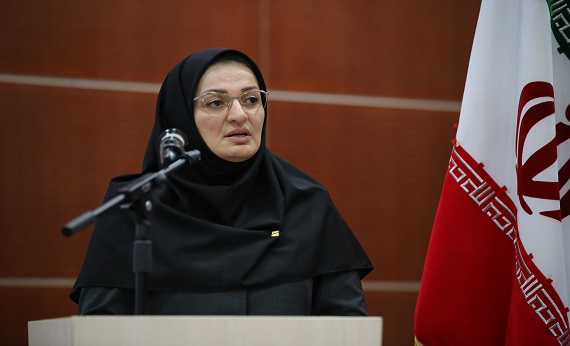 ۵ شهر بازی در سنندج پلمب شد/علیه ۱۷ شهربازی فاقد استاندارد اقدام حقوقی انجام شده است