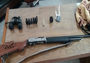شکارچی قوچ وحشی دستگیر شد