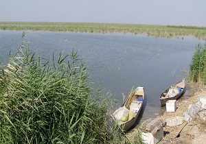 بررسی علت تاخیر در بستن دایک های مرزی تالاب هورالعظیم