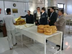 ارائه آرد دولتی برای تولید نان باکیفیت