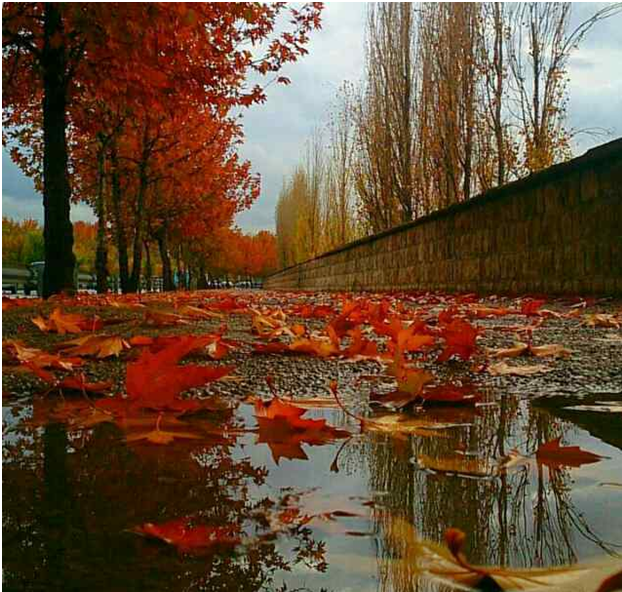 ابر&zwnj;های پاییز همچنان در سیستان و بلوچستان می&zwnj;بارند