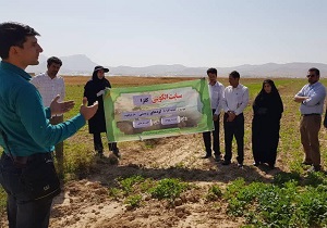 برگزاری کارگاه آموزشی استفاده از کود‌های زیستی در شهرکرد