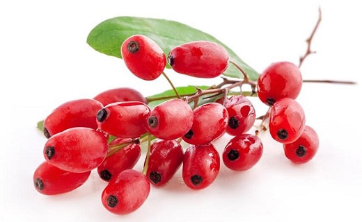 غلبه بر نقرس با طب سنتی