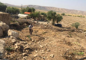 قلع و قمع ۱۰۰ اصله درخت کاشت شده غیرمجاز/ خروج ۵ هزار متر مربع زمین‌های ملی از چنگال متجاوزان