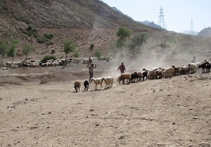 جاده عشایری سمنان نیازمند بازسازی است