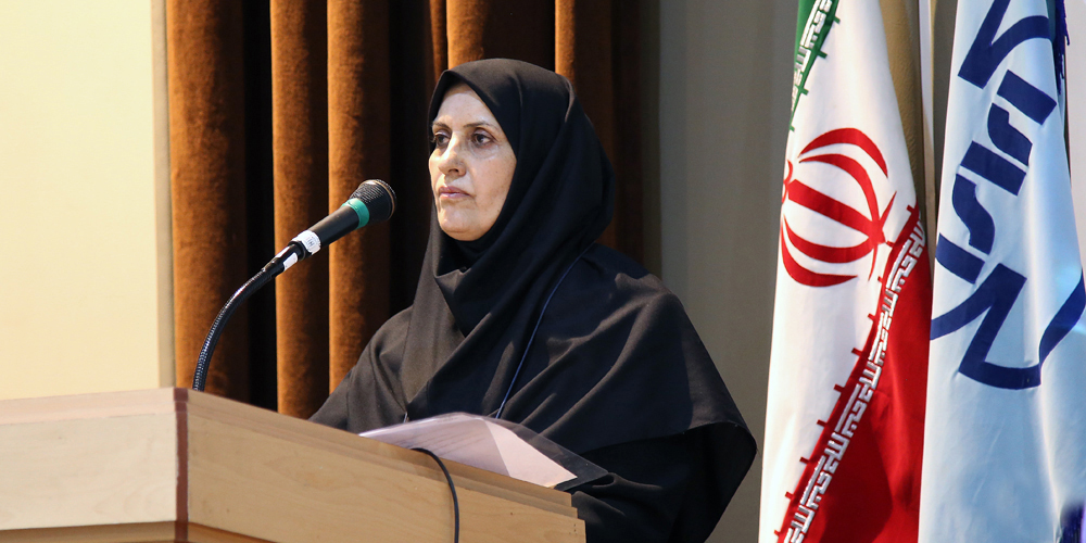 بررسی برنامه توقف تولید ۲ خودرو در شورای عالی استاندارد