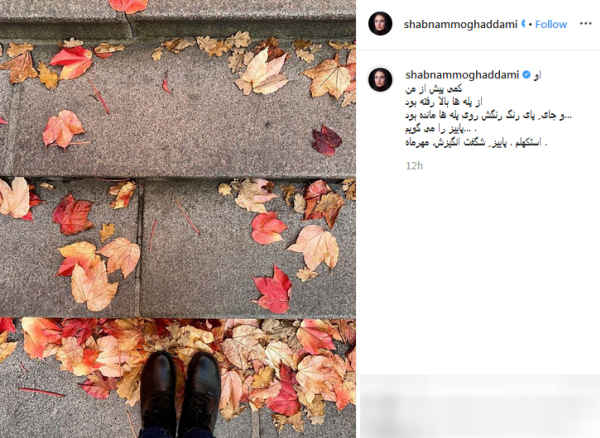 پست معنادار گلزار پس از استقبال کم مخاطبان از کنسرتش / تهیه&zwnj;کننده معروف سینما در حرم امام علی(ع) /تولد صمیمانه مادر بازیگر معروف