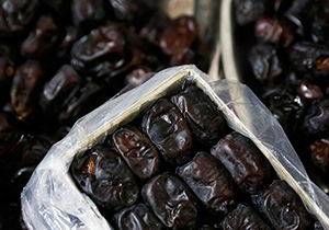 گشایش دومین نمایشگاه بین المللی خرما، تولید، فرآوری و صنایع وابسته در شیراز