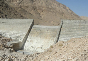 آغاز ساخت طرح تغذیه مصنوعی