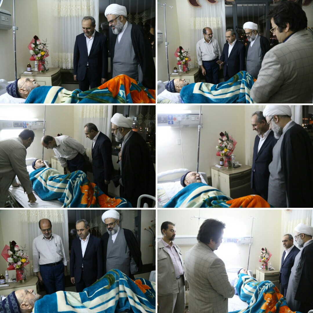 عیادت سرمست و مشاور وزیر کشور از آیت الله امینی