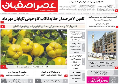 بدهی ۱۳ ساله دولت به گاوخونی/ صادرات گرا باشیم