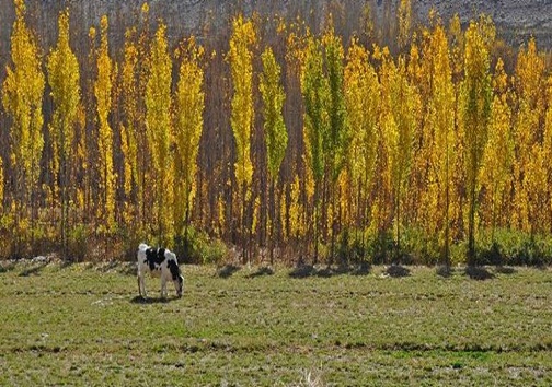 طبیعت زیبای پاییزی یاسوج