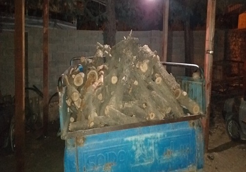 کشف و ضبط ۲ تن هیزم قاچاق در کهگیلویه