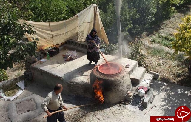داغی بازار شغل های فصلی در پاییز/ چاشنی های که به سفره ها رنگ و لعاب می دهند