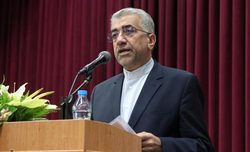 ماجرای کشتار بدون تنفگ حیوانات در جنگل های شمال کشور + فیلم