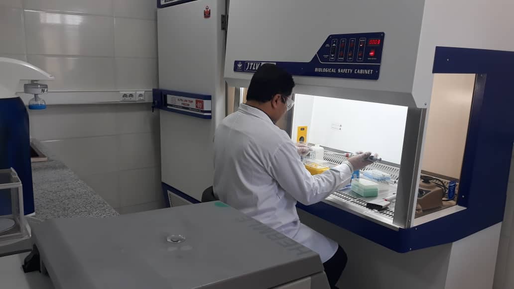 راه اندازی آزمایشگاه pcr در البرز