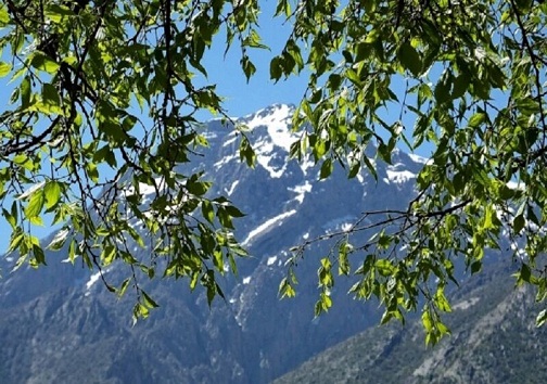 احداث پارک کوهستان باشت در پنج هکتار