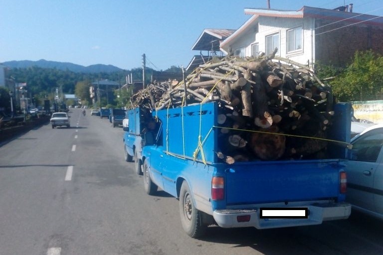 کشف ۴ تن چوب قاچاق در املش