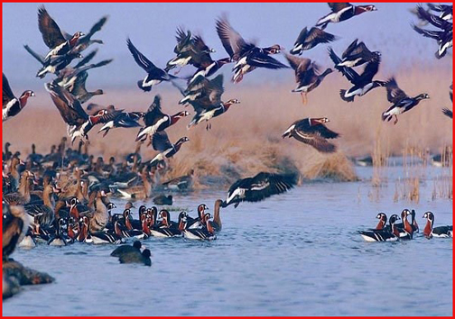 امروز در استان ها چه گذشت؛