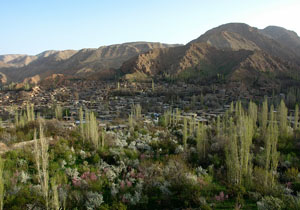 اختصاص بیش از یک میلیارد ریال اعتبار به بافت تاریخی روستای روئین