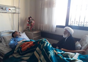 آیت الله نوری همدانی از آیت الله امینی عیادت کرد