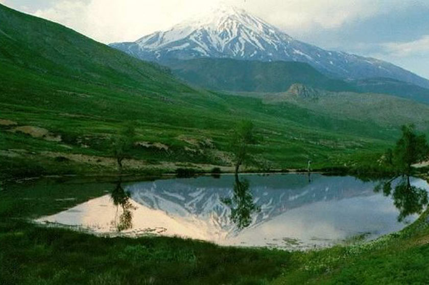 رازهای سر به مهر فیروزکوه / از تک درختِ محبوب جاده تا دیوارهای سخنگو رازهای سر به مهر فیروزکوه / از تک درختِ محبوب جاده تا دیوارهای سخنگو