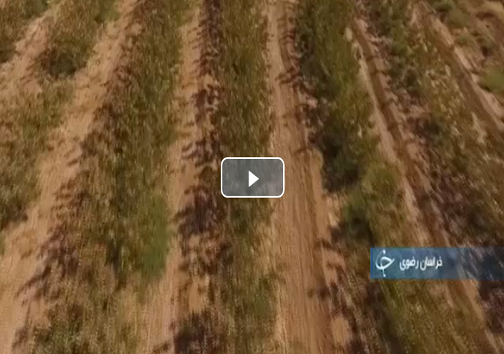 بسته جذاب گزارش هایی تصویری از ۸ استان کشور با موضوعات گوناگون +فیلم