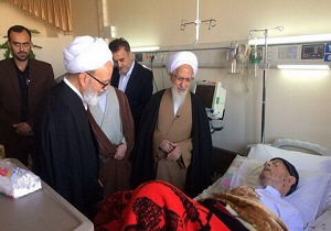 آیت الله امینی از بیمارستان ترخیص شد