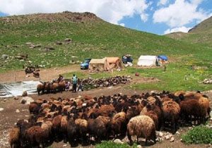 توصیه‌های دامپزشکی خراسان شمالی به عشایر در فصل کوچ